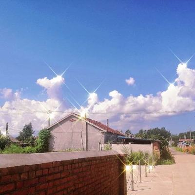 掌猴游戏厅免费下载安装